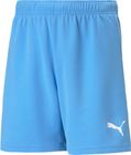 Teamrise Short Jr