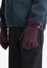 Fleece Glove K