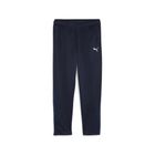 Teamgoal Training Pant Wmn