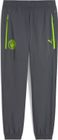 Mcfc Pumatech Woven Pants