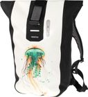 Velocity Design Jellyfish