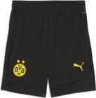 BVB Training Shorts