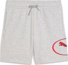 Puma Sport Graphic Shorts TR B