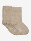 Ankle Sock -solid (5-pack)