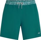 O'neill Pocket Print 16