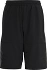 Sport Icons 3 Stripes Long Shorts