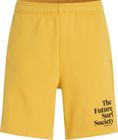 Future Surf Society Shorts