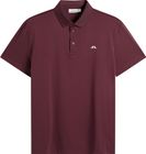 Bridge Polo