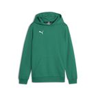 Teamgoal Casuals Hoody Jr