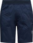 Roots Shorts Men