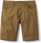Radius Shorts