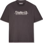 Womens Graphic Short Sleeves Tee