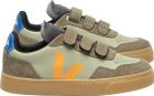 Small V-90 Clay Mango Kaki