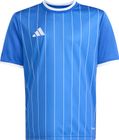 Entrada26 Graphic Jersey Kids