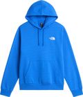 Mens Evolution Box NSE Regular Hoodie