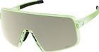 Sunglasses Torica