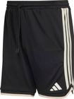 Stadium Mesh Shorts Men
