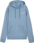 Puma Class Relaxed Hoodie FL