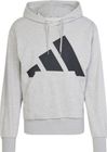 Essentials BIG Logo French Terry Hoodie