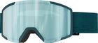 Goggle Shield