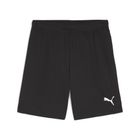 Teamgoal Shorts