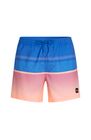 O'neill Gradient 15'' Swimshorts