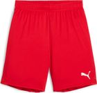 Teamgoal Shorts Jr