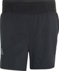 Terrex Xperior CLIMA365 Shorts