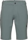 Hiking V Shorts Men