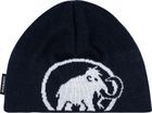 Tweak Beanie
