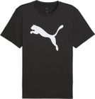 M TAD Essentials Solid Cat Tee (CF big Cat)