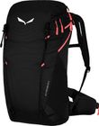 ALP Trainer 20 WS