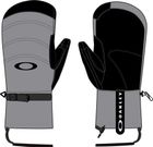 Powder Ridge Mittens