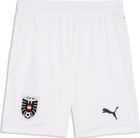 FB Shorts Replica