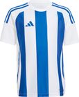 Striped 24 Jersey Kids