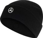 Mercedes - AMG Petronas Formula 1 Team Mechanics Beanie