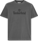 Mens GD Logo Graphic Short Sleeve Tee