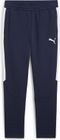 Teamevostripe Pants