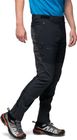 Alpine Softshell Pants Men