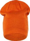 Asp Beanie