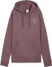 Puma Class Relaxed Hoodie FL