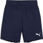 Teamgoal Shorts