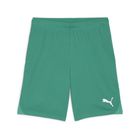 Teamgoal Shorts