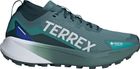 Terrex Agravic GTX Trail Running Shoes