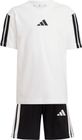 Essentials T-shirt SET Kids Boys and Girls