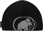 Tweak Beanie