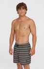 O'neill Cali First 15'' Swimshorts