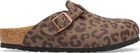 Boston Kids Birko-florbc Print