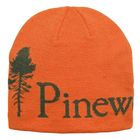 Logo Beanie