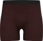 The Natural Merino 160 Sports Underwear Boxers